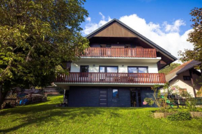 Via Alpina Apartments with sauna
